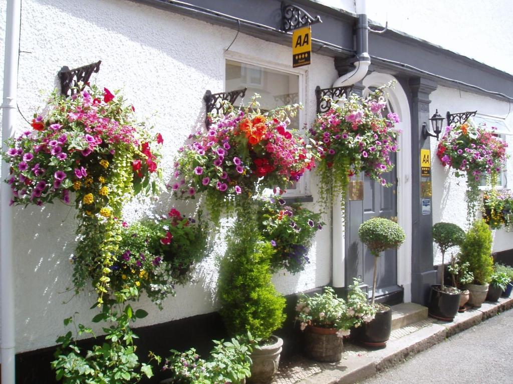Cherubs Nest Dartmouth Zewnętrze zdjęcie